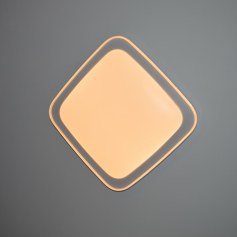 Светодиодный светильник CIRCLE-S001 RM 36W*2 №3