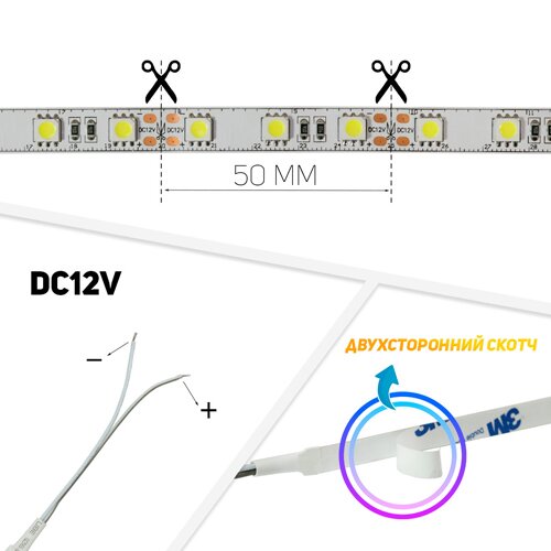 Світлодіодна стрічка BIOM Professional BPS-G3-12-5050-60-CW-20 білий, негерметична, 1м №5