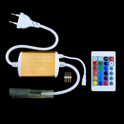 Контролер RGB Neon 220B 1200W-IR24-N №2