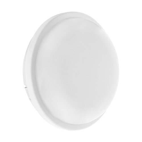 Світильник світлодіодний ЖКХ Biom SMPL-R15-6 15Вт 6000К, коло, sensor №1