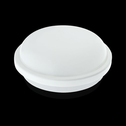 Світильник світлодіодний ЖКХ Biom SMPL-R15-6 15Вт 6000К, коло, sensor №2