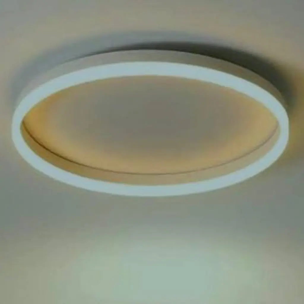 Люстра “BLUM” Монета №2