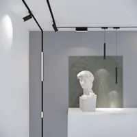 “BLUM” Шина магнитная врезная под гипсокартон черная 2мм 1м №3