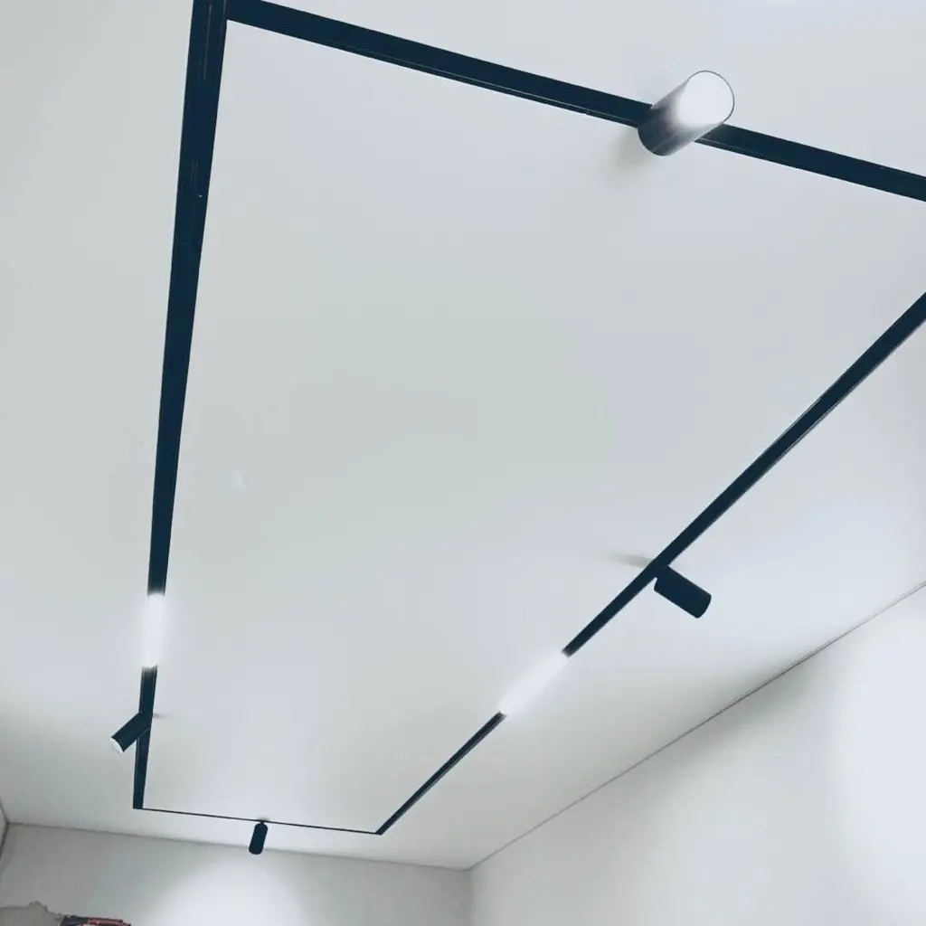 “BLUM” Шина магнитная врезная под гипсокартон черная 1,5мм 2м №4