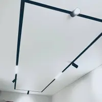 “BLUM” Шина магнитная врезная под гипсокартон черная 1,5 мм 1м №3