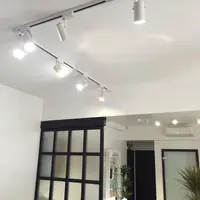 “BLUM” Flux Шинопровод накладной для крепления и питания трековых светильников 1м белый №3