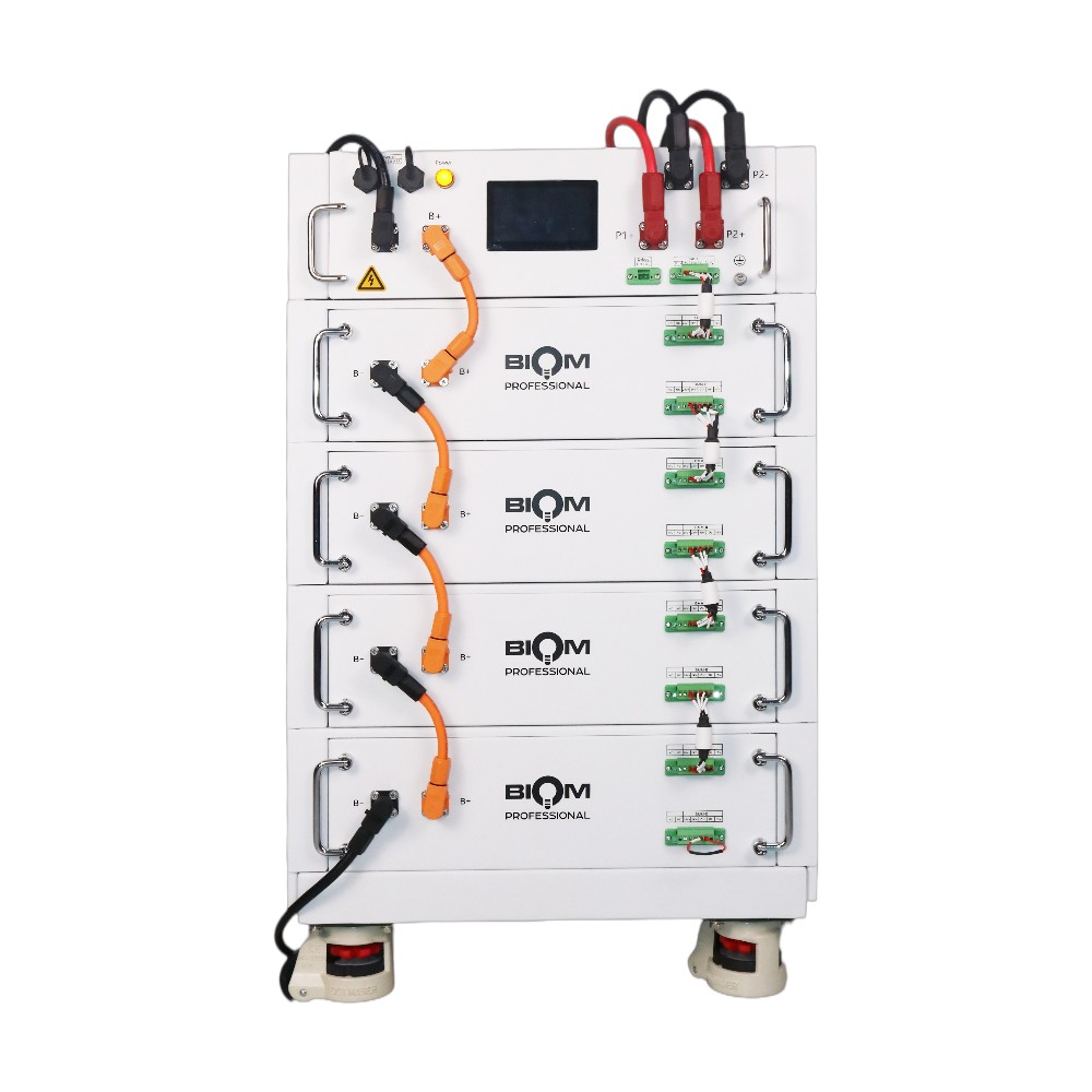 Акумуляторна батарея Biom Professional HV 48В (51.2В) BAHV-100512-LFP 5кВтч №3