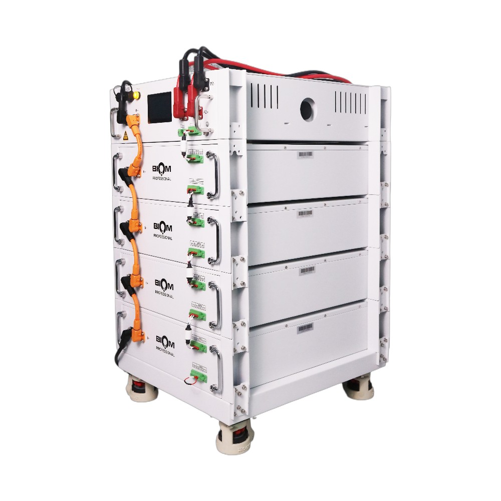 Акумуляторна батарея Biom Professional HV 48В (51.2В) BAHV-100512-LFP 5кВтч №4