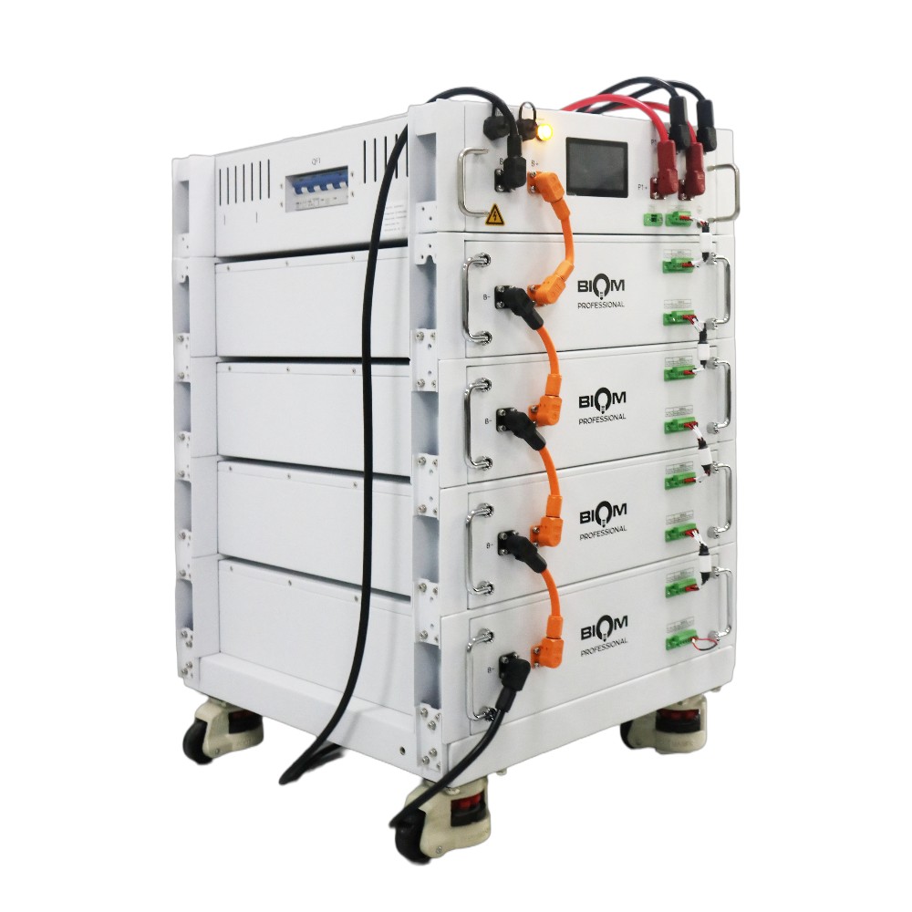 Акумуляторна батарея Biom Professional HV 48В (51.2В) BAHV-100512-LFP 5кВтч №5