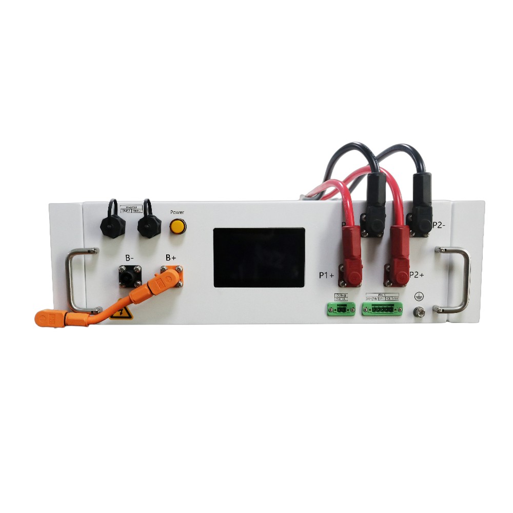 Блок керування акумуляторними батареями Biom Professional CB-HV-100 1000V/100A №3