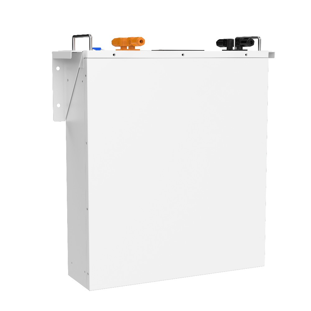 Акумуляторна батарея Biom Professional 48В (51.2В) BALFP-R512100-UNI 5кВтч №2