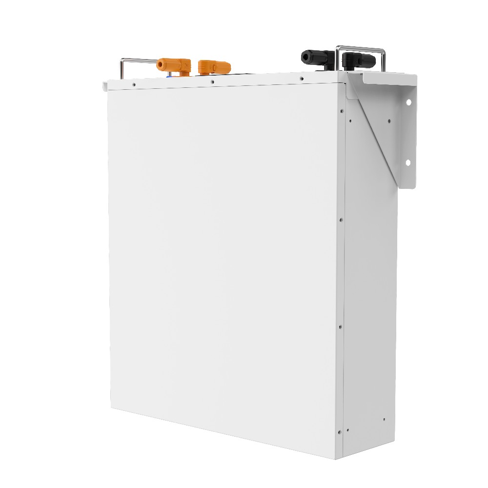 Акумуляторна батарея Biom Professional 48В (51.2В) BALFP-R512100-UNI 5кВтч №3