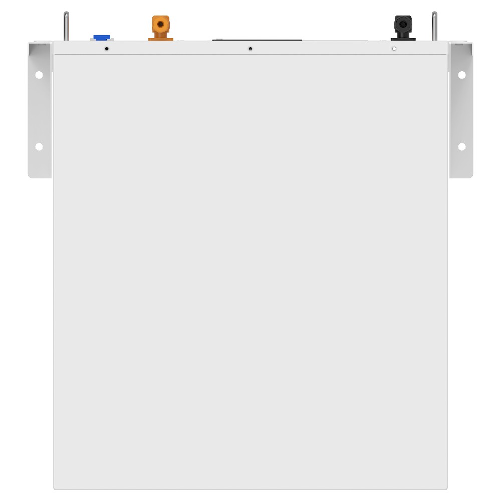 Акумуляторна батарея Biom Professional 48В (51.2В) BALFP-R512100-UNI 5кВтч №4