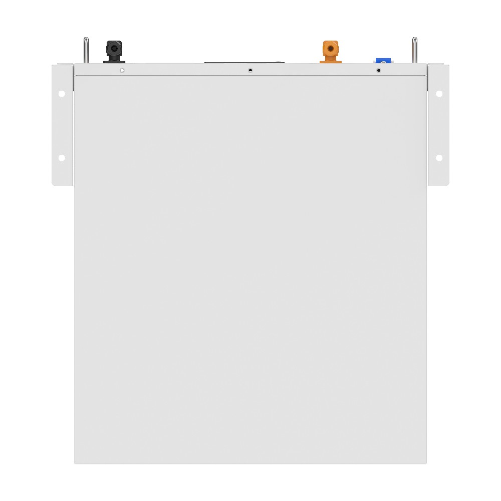 Акумуляторна батарея Biom Professional 48В (51.2В) BALFP-R512100-UNI 5кВтч №5