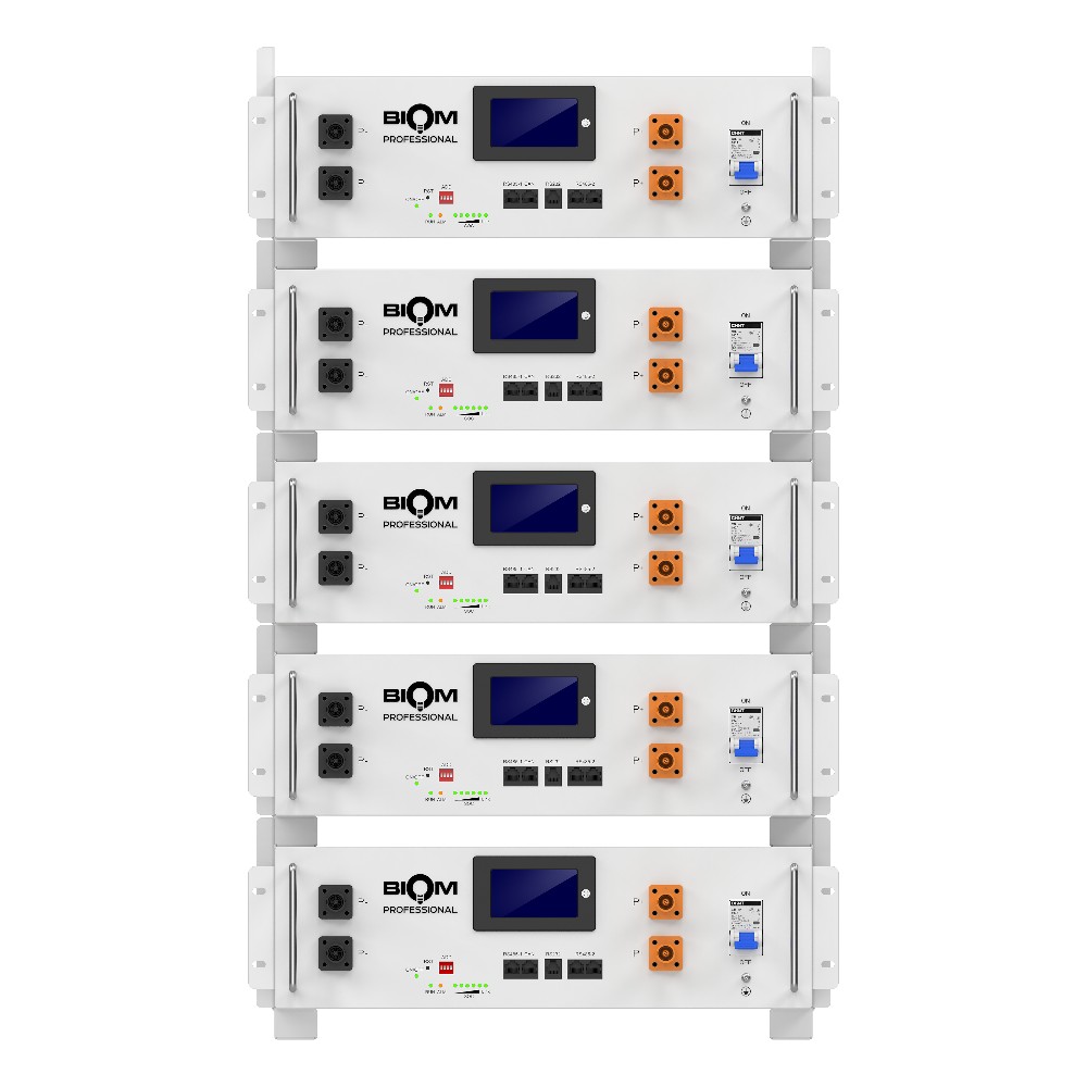 Акумуляторна батарея Biom Professional 48В (51.2В) BALFP-R512100-UNI 5кВтч №6