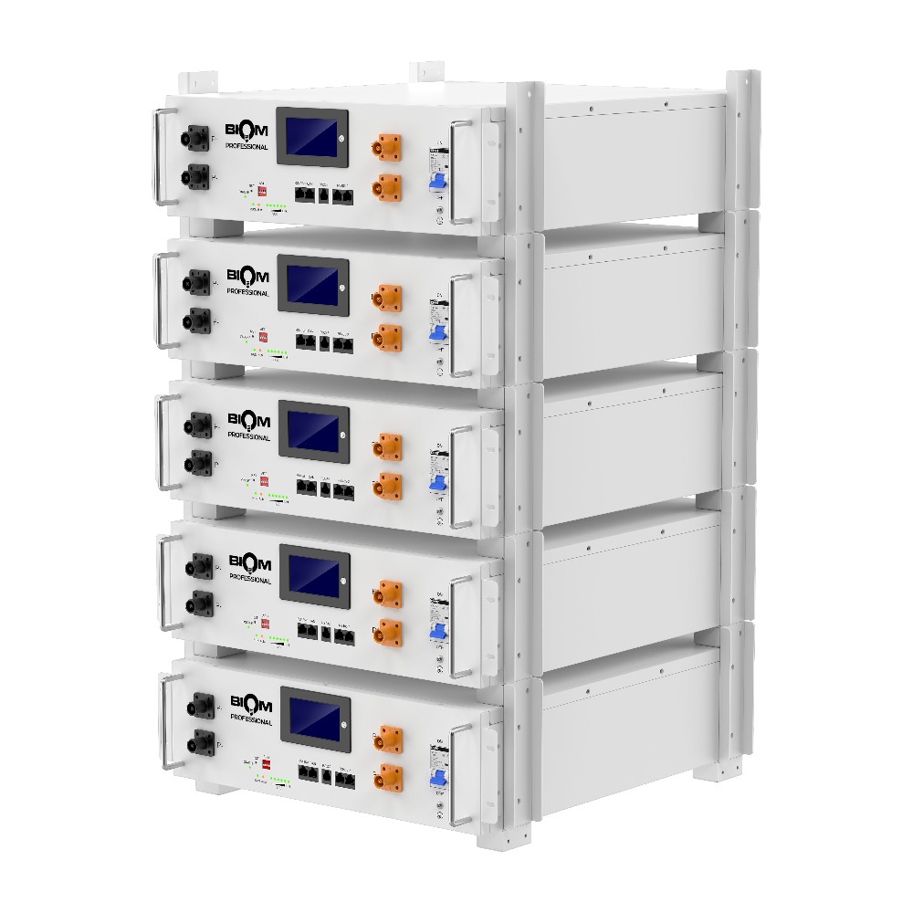 Акумуляторна батарея Biom Professional 48В (51.2В) BALFP-R512100-UNI 5кВтч №7