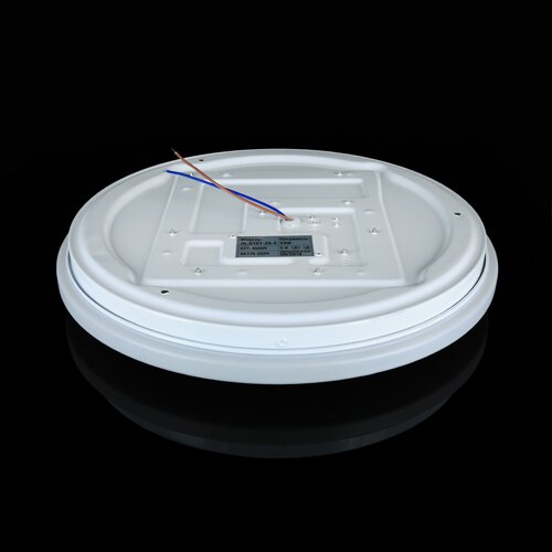 Світильник світлодіодний OEM DL-R101-24-4 4500K 24Вт без д/у №4